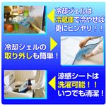 �y�A�E�g���X�g�g�p�z�X�y�[�X�A�C�X�V�[�g�Ђ��Ђ� ���J�o�[