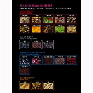 SUUEN(�X�[�G��) �I���G���^���X���[�X�E�B�[�o�[