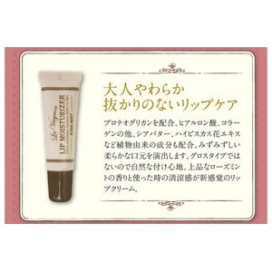 ラヴィニョン リップモイスチャライザー8g 【3本セット】
