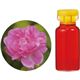 �����̖� �Ԑ��� �_�}�X�N���[�YAbs.(�����b�R�Y) 3ml