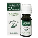 Herbal Life u[TCvX 10ml