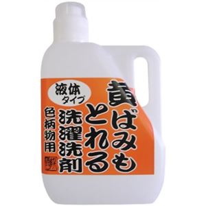 黄ばみもとれる洗濯洗剤 色柄物用 2L