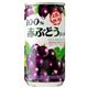 �ԂԂǂ��W���[�X100% 190g*30�{��