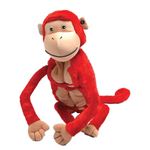 Y[r[ybc MONKEY