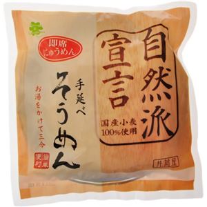 即席手延べにゅうめん 自然派宣言 90g 【10セット】