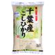 【無洗米】千葉県産コシヒカリ 5kg 【3セット】