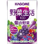 �ڥ���������ۥ����� �������100 ������ 100ml*36��