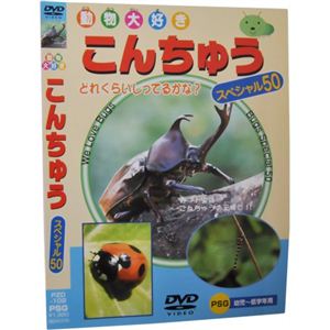 動物大好き こんちゅうスペシャル50