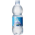 �i�܂Ƃߔ����j�T���^���i �C�^���A�A���v�X�V�R�� 500ml�~24�{�~2�Z�b�g