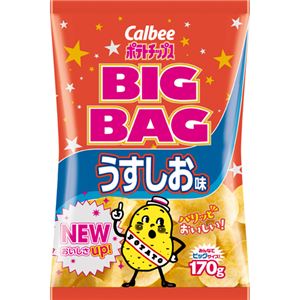 【ケース販売】カルビー ポテトチップス ビッグバッグ うすしお味 170g&times;12袋