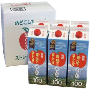 【ケース販売】青研の葉とらずりんご100 1000g&times;6本