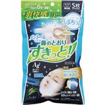 （まとめ買い）アイリスオーヤマ メントールマスク ユーカリ ふつうサイズ 5枚入 H-PK-MY5M&times;8セットの詳細ページへ