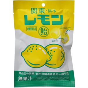 （まとめ買い）関東・栃木レモン飴 60g&times;15セット