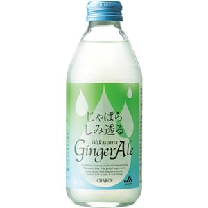 （まとめ買い）じゃばらしみ透る Wakayama GingerAle 250ml&times;12セット