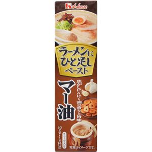 （まとめ買い）ハウス ラーメンにひと足しペースト マー油 40g&times;15セット