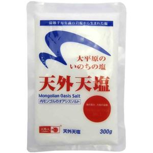（まとめ買い）天外天塩 300g&times;24セット
