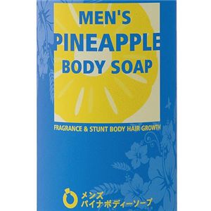 メンズパイナボディソープ