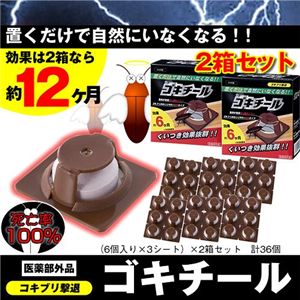 �S�L�`�[���@2���Z�b�g�i12�������j