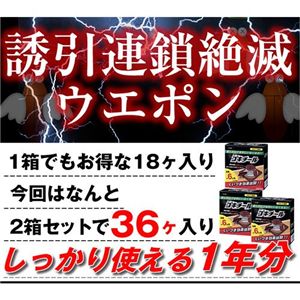 ���������롡2Ȣ���åȡ�12����ʬ��