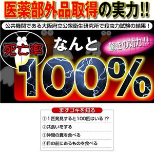 ���������롡2Ȣ���åȡ�12����ʬ��