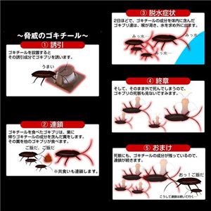 ���������롡2Ȣ���åȡ�12����ʬ��