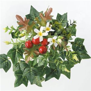 �A�����W���L�t�����[�@2�Z�b�g(���[�Y�E�x���[�e1��)