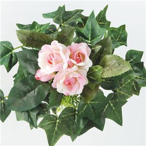 �A�����W���L�t�����[�@2�Z�b�g(���[�Y�E�x���[�e1��)