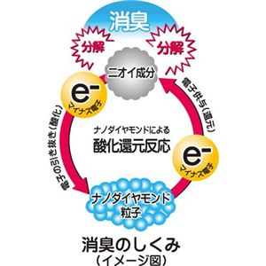 �A�����W���L�t�����[�@2�Z�b�g(���[�Y�E�x���[�e1��)