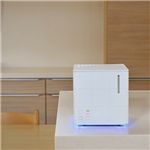 アピックス スチーム式アロマ加湿器 CUBE AHD-030 ホワイト