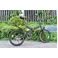 �ʐ^���g��