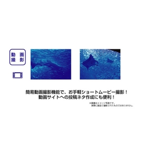 �h���P�[�X�t �f�W�J���@WATER MIRUMIRU