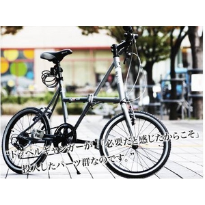 DOPPELGANGER(R)(ドッペルギャンガー) FX55: 折りたたみ自転車