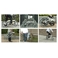 WACHSEN BA-160 fran 16インチアルミ折たたみ自転車7段変速付き fran
