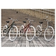 PRIMARY(�v���C�}���[) 6�i�ϑ� �N���X�o�C�N BGC-700-CG �V�����p���S�[���h �ʐ^4