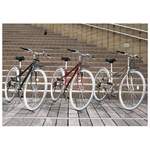 PRIMARY�ʥץ饤�ޥ꡼�� 6����® �������Х��� BGC-700-RD ��å�