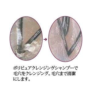 ポリピュア クレンジングシャンプー250ml