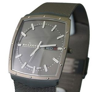 SKAGEN チタニウムメンズウォッチ