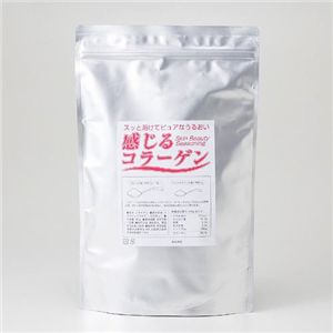 ������R���[�Q���i��j