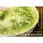 ���������̃e�B���~�X