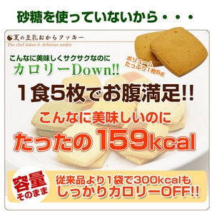 夏の豆乳おからクッキー　8種 1kg（250g×4） 