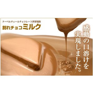 割れチョコ ミルク 800g 【クーベルチュールチョコレート】