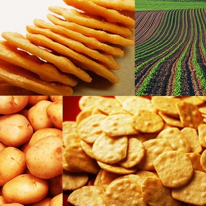 さくさくコンニャクのじゃがチップス