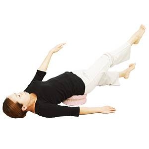 体幹筋トレーニング器具 waist twister(ウエストツイスター)