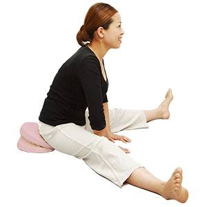 体幹筋トレーニング器具 waist twister(ウエストツイスター)