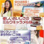 明治プロテインダイエットミックスパック30袋(30食分)
