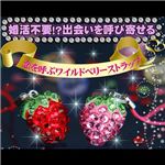 �����Ăԃ��C���h�x���[�X�g���b�v �^���̃��b�h