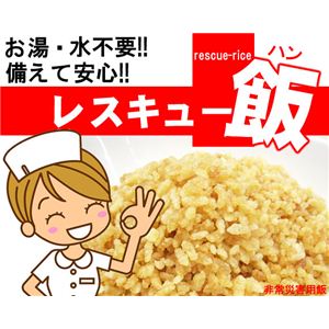 災害時などに安心便利 レスキュー飯 10食セット プレーン