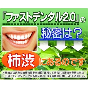 ファストデンタル2.0 6本セット