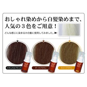 ハーバルカラームース ライトブラウン