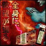 闘宝真起（とうほうしんき）-東洋の神秘シリーズ-